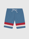 CornflowerBlue Striped Men's Shorts